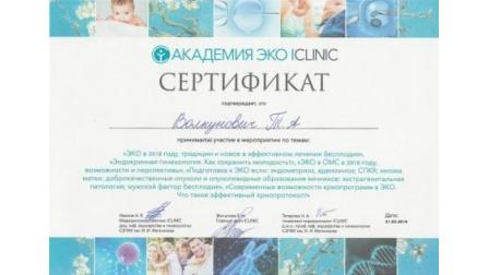 Сертификат участника мероприятия академии ЭКО ICLINIC